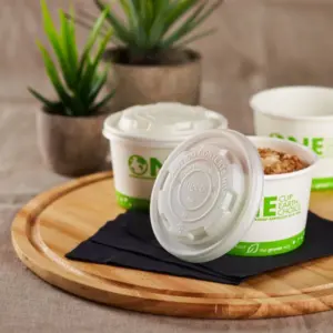 eco friendly pla lid for 12 oz kraft paper food cup, 100% compostable 500/case