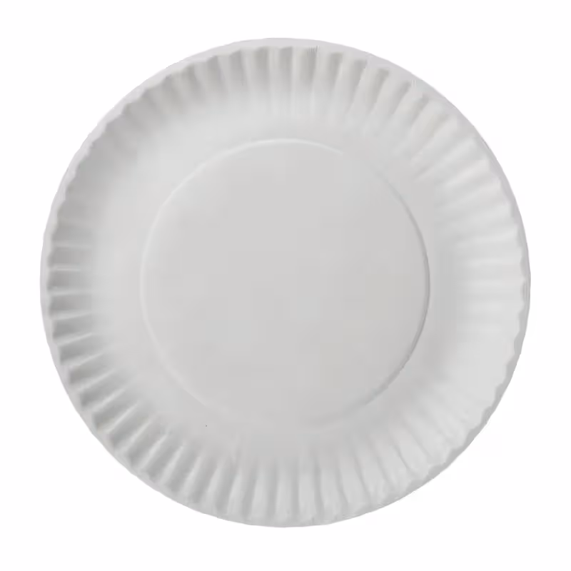 9" white coated paper plate 1000 cs